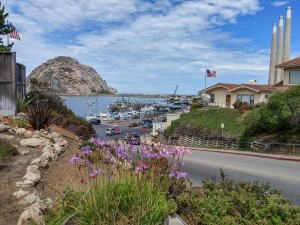 morro bay triathlon